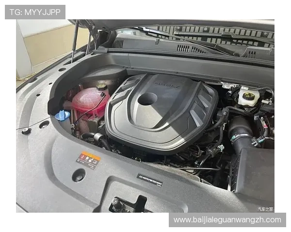 了解evo真人平台怎么样，用户口碑和真实体验的全面解读